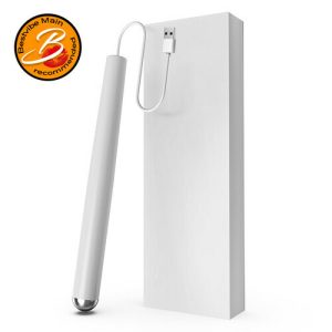 Bestvibe Heating Rod Automatic Temperature Control Warmer with Fast